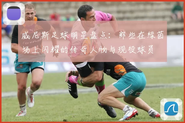 威尼斯足球明星盘点：那些在绿茵场上闪耀的传奇人物与现役球员