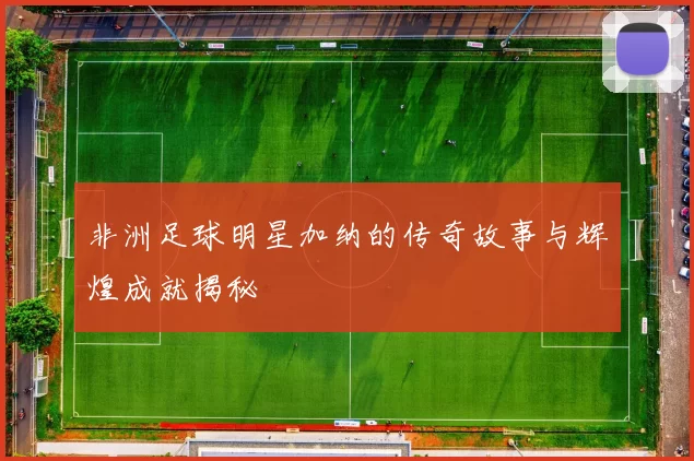 非洲足球明星加纳的传奇故事与辉煌成就揭秘