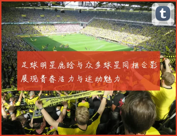 足球明星鹿晗与众多球星同框合影展现青春活力与运动魅力