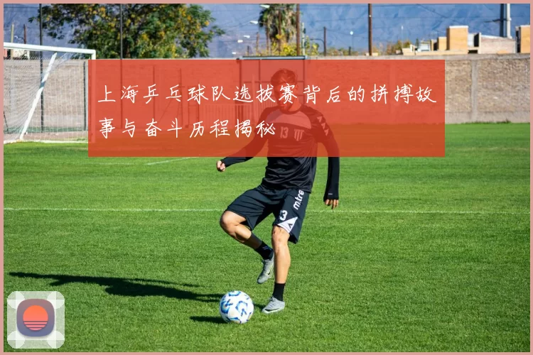 上海乒乓球队选拔赛背后的拼搏故事与奋斗历程揭秘