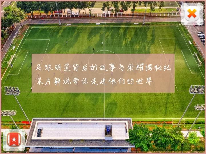 足球明星背后的故事与荣耀揭秘纪录片解说带你走进他们的世界