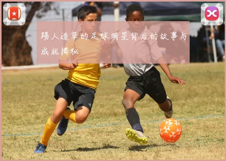 踢人造草的足球明星背后的故事与成就揭秘