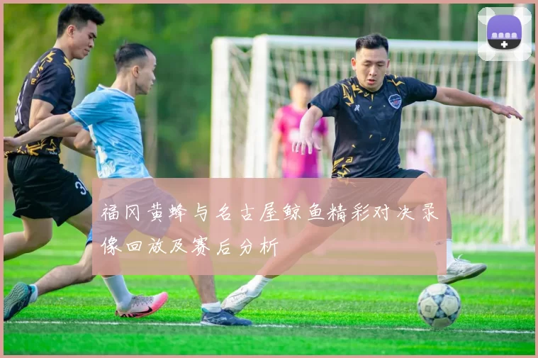 福冈黄蜂与名古屋鲸鱼精彩对决录像回放及赛后分析