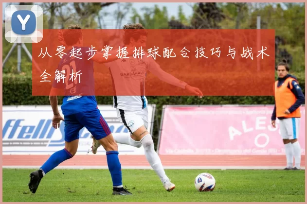 从零起步掌握排球配合技巧与战术全解析