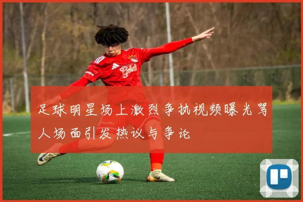 足球明星场上激烈争执视频曝光骂人场面引发热议与争论