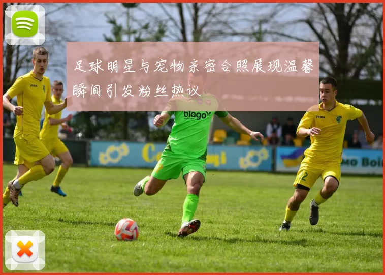 足球明星与宠物亲密合照展现温馨瞬间引发粉丝热议