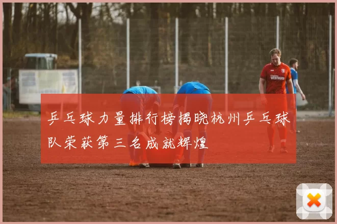 乒乓球力量排行榜揭晓杭州乒乓球队荣获第三名成就辉煌