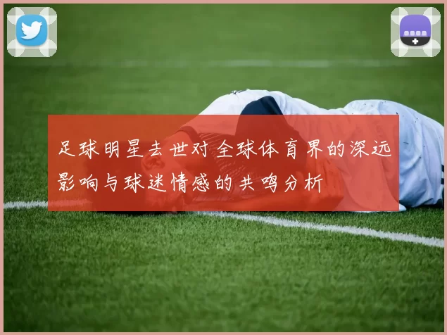 足球明星去世对全球体育界的深远影响与球迷情感的共鸣分析